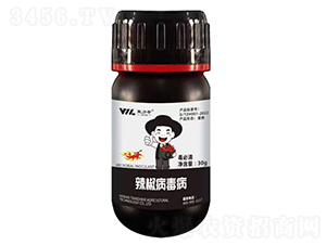 �����壨������������-������-��֮��