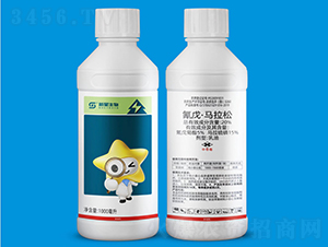 20%���졤�R����-��������