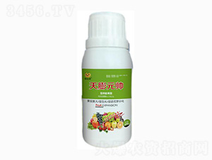 �I�B(y��ng)������~���-����Ԫ��-���_(d��)���ʘI(y��)