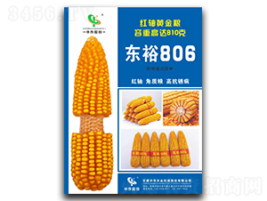 東裕806玉米種子-中作股份