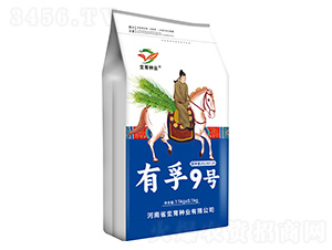 С���N��-����9̖-�h���N�I(y��) 