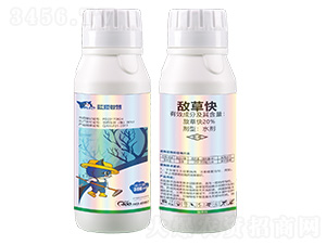 20%���ݿ�ˮ��-�{(l��n)؈�ǻ�