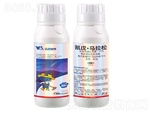 20%���졤�R��������-�{؈�ǻ�