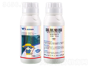 5%�����������-�{؈�ǻ�