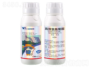 4.5%��Ч�����������-�{؈�ǻ�