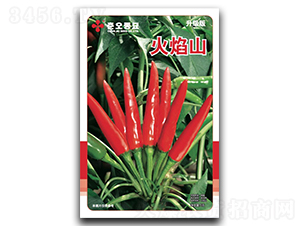 ����ɽ���콷�N��-���W�N��