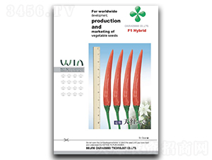 ��t��̖(h��o)���콷�N��-���W�N��