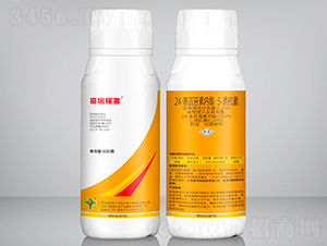 24-���|̦�؃�(n��i)����S-�T����-ϲ�s��ϲ-��ϲ