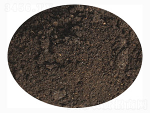 �����������÷�-ӭ������