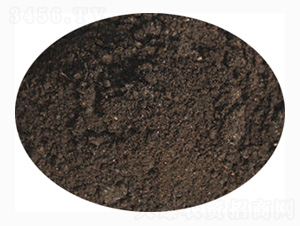 ��ɽˎ���÷�-ӭ������