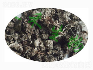 ����u�S�K-ӭ������