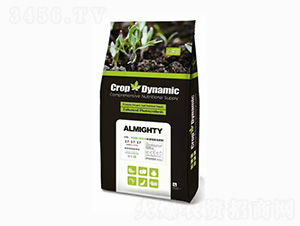 ˮ���ԏͺϷ���17-17-17-���m����