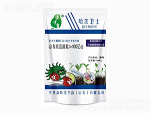 ΢�������-�����l(w��i)ʿ-��˹�r(n��ng)