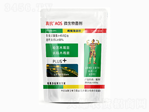 ΢�������-�濹AOS-��˹�r(n��ng)