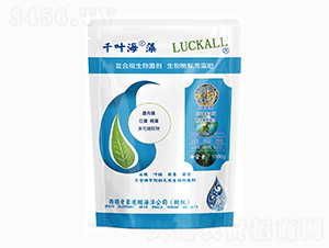 ��(f��)��΢�������-ǧ�~����-��˹�r(n��ng)