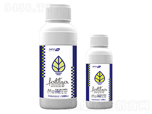 糖醇鈣鎂-艾普豐