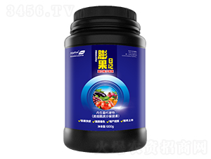 膨果日記-艾普豐