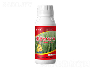 �������߮a(ch��n)��-������-��������