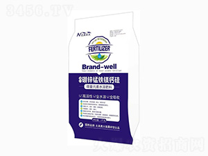 �M�����\�i�F�V�}��-�����r(n��ng)��