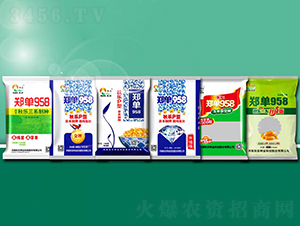 鄭單958-玉米種子-秋樂種業(yè)