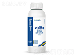 ��ѿ�ֻ���-��˹�Z