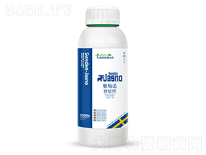 ���z�}-��˹�Z