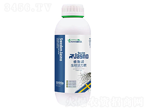 ����������-��˹�Z