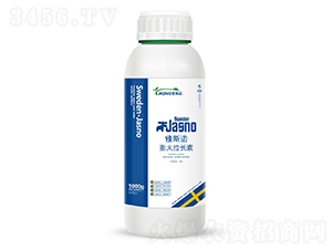 膨大拉長素-雅斯諾