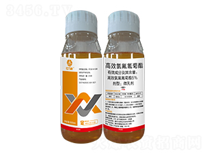 500ml��Ч�ȷ������-�t�f(w��n)��-���˹����r(n��ng)��