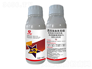 500�˸�Ч�ȷ������-�t�f(w��n)��-�l(xi��ng)�弾�L(f��ng)-���˹����r(n��ng)��