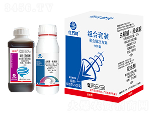 ���x(ch��ng)��Q����-�M�����b-�t�f(w��n)��-�l(xi��ng)�弾�L(f��ng)-���˹����r(n��ng)��