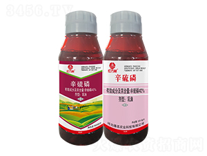 40%����������-�t�f(w��n)��-�l(xi��ng)�弾�L(f��ng)-���˹����r(n��ng)��