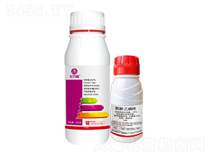 ​(li��n)�¡����������b-�t�f(w��n)��-�l(xi��ng)�弾�L(f��ng)-���˹����r(n��ng)��