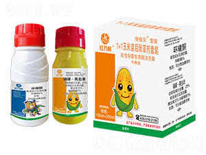 1+1���������݄����b-��O�����b-�t�f��-�l(xi��ng)�弾�L-���˹����r(n��ng)��