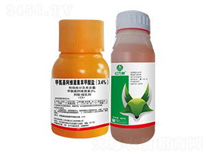 3.4%�װ������S���ر������}-�t�f(w��n)��-�l(xi��ng)�弾�L(f��ng)-���˹����r(n��ng)��