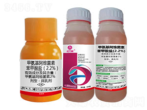 2.2%�װ������S���ر������}-�t�f(w��n)��-�l(xi��ng)�弾�L(f��ng)-���˹����r(n��ng)��