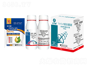 �������x1+1+1�M�����b-�t�f��-�l(xi��ng)�弾�L(f��ng)-���˹����r(n��ng)��