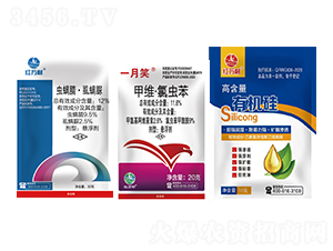 11.6%�׾S�����x��+12%�x���桤ʭ����+�ЙC(j��)������-�t�f��-�l(xi��ng)�弾�L(f��ng)-���˹����r(n��ng)��