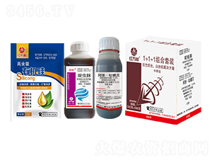 1+1+1�������x�׷�ʭ��Q����-�t�f��-�l(xi��ng)�弾�L(f��ng)-���˹����r(n��ng)��