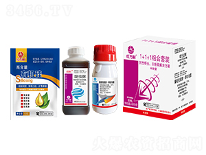 1+1+1�M�����b���������x�׷�ʭ��Q������-�t�f��-�l(xi��ng)�弾�L(f��ng)-���˹����r(n��ng)��