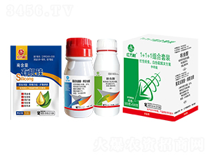 1+1+1�M�ϣ��������x�׷�ʭ��Q������-�t�f��-�l(xi��ng)�弾�L(f��ng)-���˹����r(n��ng)��