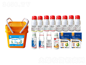 ���ױ����ײͣ��˺�һ��-�l(xi��ng)�弾�L(f��ng)