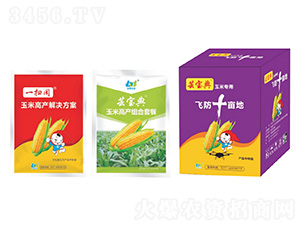 玉米高產(chǎn)組合套餐-寶典實(shí)業(yè)