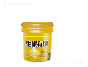 �����е�-�����S-�����_(d��)����