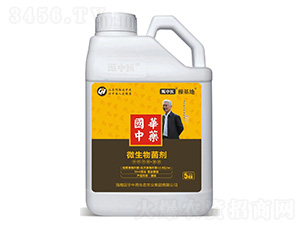 �����t(y��)-�����؏��������������a���x��