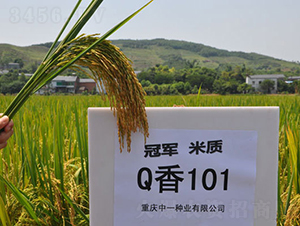 Q��101-ˮ���N��-���r(n��ng)�Ƽ�