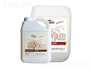 ΢�������-��۸�-����r�ʘI(y��)