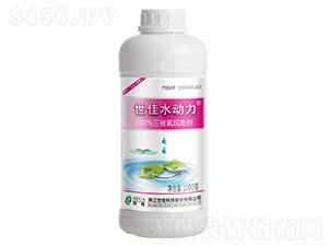 ������������1000g-����ˮ��(d��ng)��-����