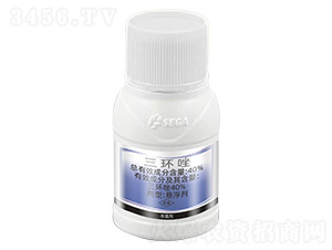 40%���h(hu��n)��-�����-���� 