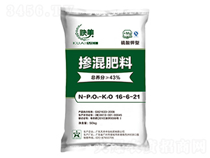 ������͓������16-6-21-����-����r�Y